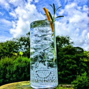 Forest Gin Highball Glass